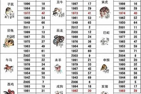 1999年五行属什么|1999年属兔是什么命 1999年属兔人一生命运